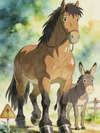 THE HORSE AND HIS RIDER