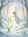 The Snowdrop