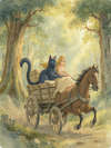 Kisa the Cat
