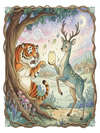 Why the Tiger and the Stag