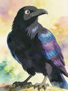 HOW THE RAVEN HELPED MEN