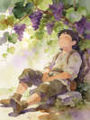 THE GRAPE VINE’S STORY