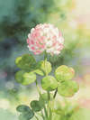 CLOVER-BLOSSOM