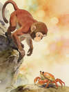 BATTLE OF THE MONKEY AND THE CRAB