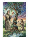 A Son of Adam